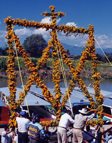 Raising a cross of yellow chrysanthemums in Patzcuaro for the Day of the Dead
