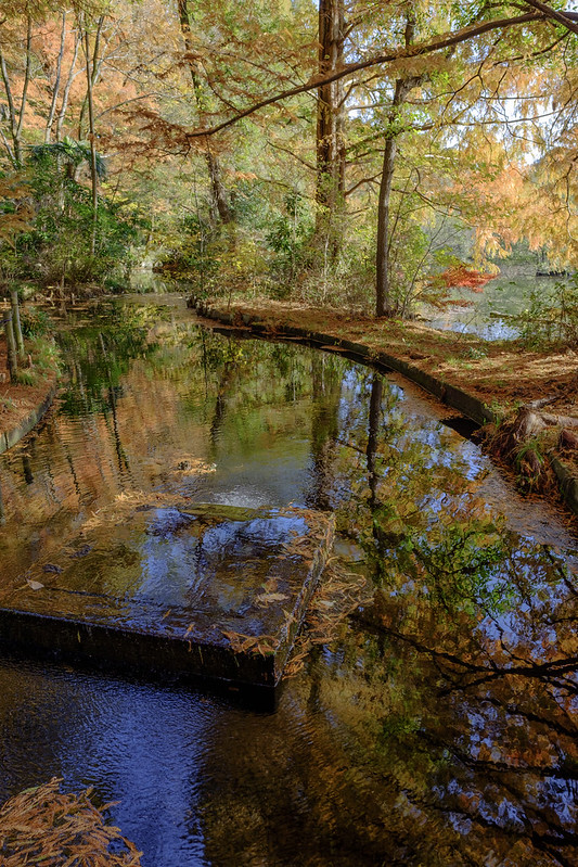 三宝寺池に続く水道