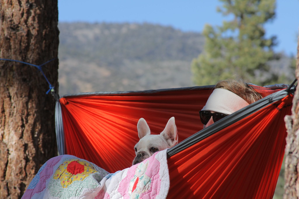 Heartbar Campground - San Bernardino National Forest
