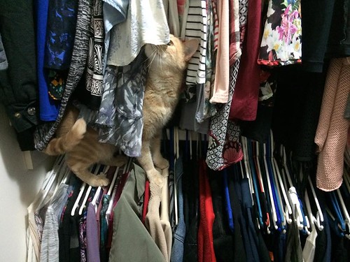 exploring the wardrobe