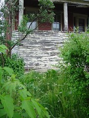 Overgrown and abandoned house