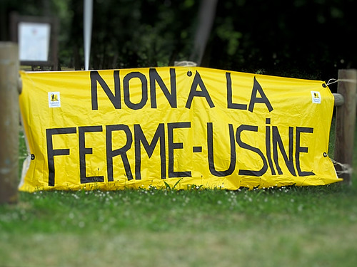 #NONauxFermesUsines – En Gironde, la Conf' s'oppose à l'extention d'une ferme-usine à 12 000 cochons