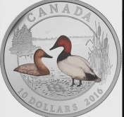 glen-scrimshaw anvasback duck coin