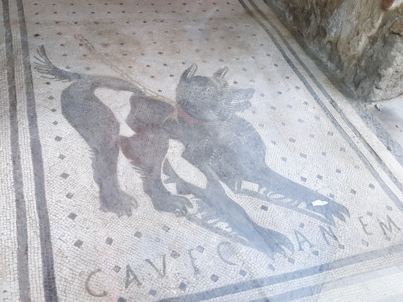 Pompeii Beware of the Dog