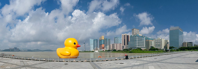 Rubber duck in Macau