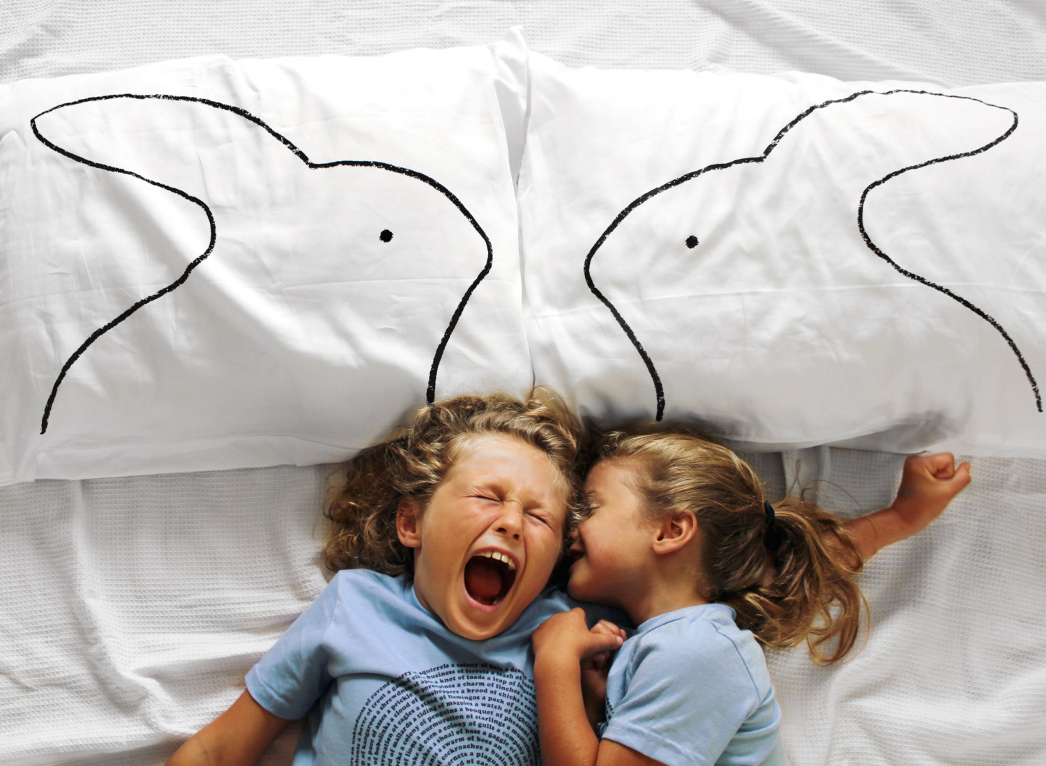 bunny pillow cases