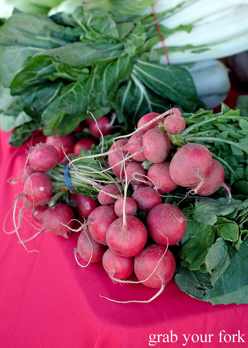 Radishes at the Canterbury Foodies and Farmers Market, Sydney