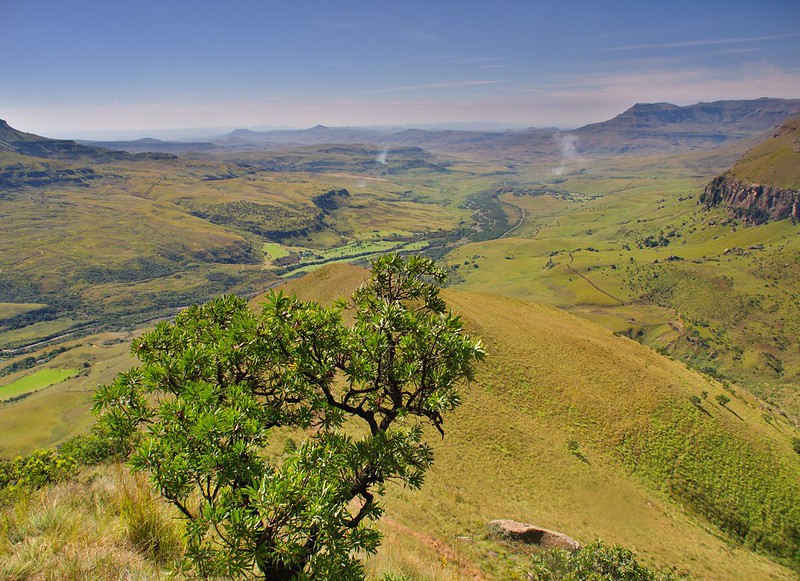 Drakensberg: Intrincadas formas de Cathedral Peak - Por el norte de SUDÁFRICA. Montañas, playas, fauna y sus gentes (6)