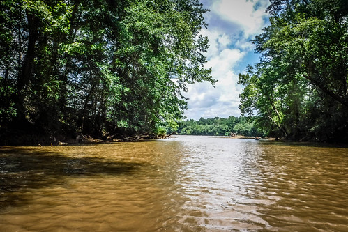 Goat Island in the Broad River-95