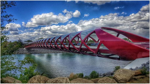 Hate, it has caused a lot of problems in the world, but has not solved one yet. — Maya Angelou #peacebridge #iamdowntown #iamdowntownyyc #yyc #capturecalgary #calgary #bridge #bowriver #river #pridemonth #mayaangelou #qotd #quotes #peace #prideoverhate #