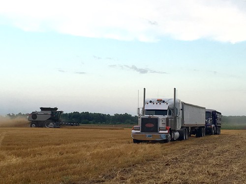 The Gleaner with the trucks.