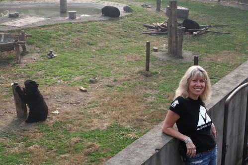 Jill visits bears at sanctuary 2