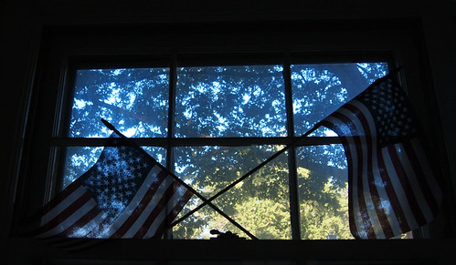 Flags in window