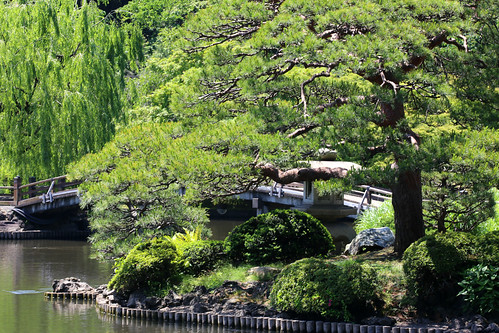 A trip to Shinjuku Gyoen National Garden