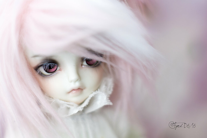 In Pink Cloud 07