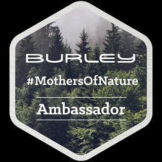 Burley-Ambassador-Badge-FINAL