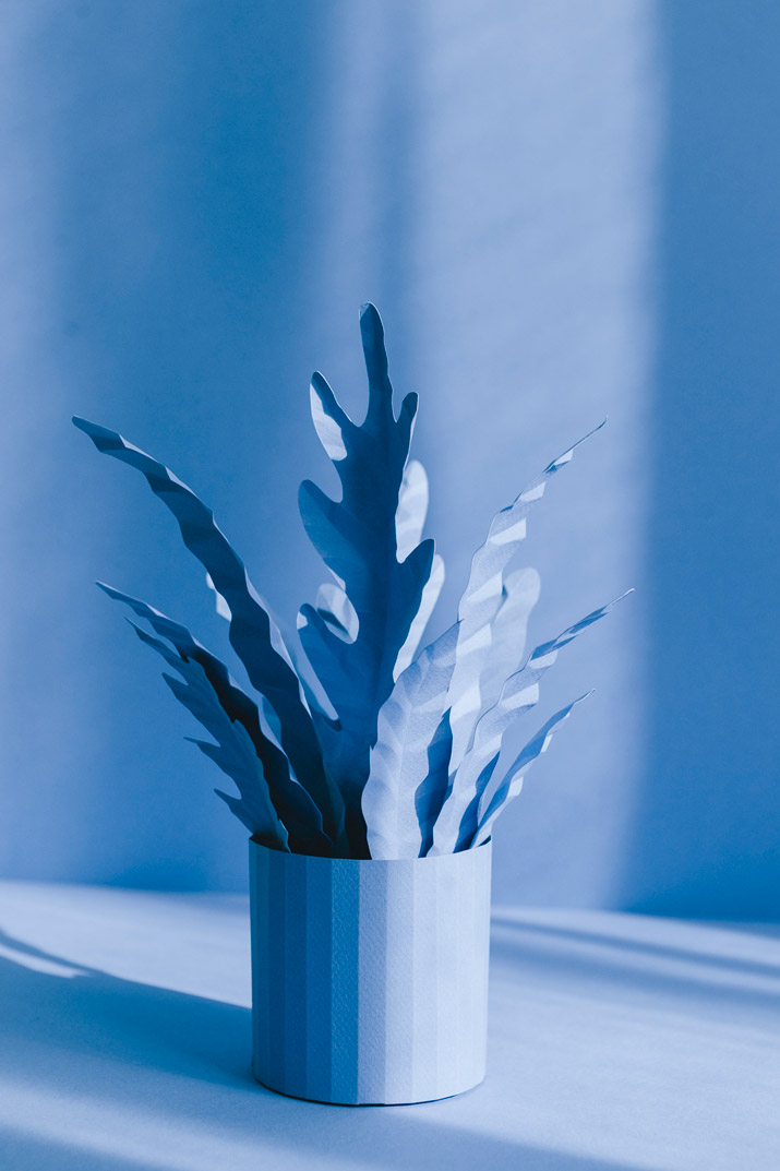 diy-blue-paper-plants-fin-06