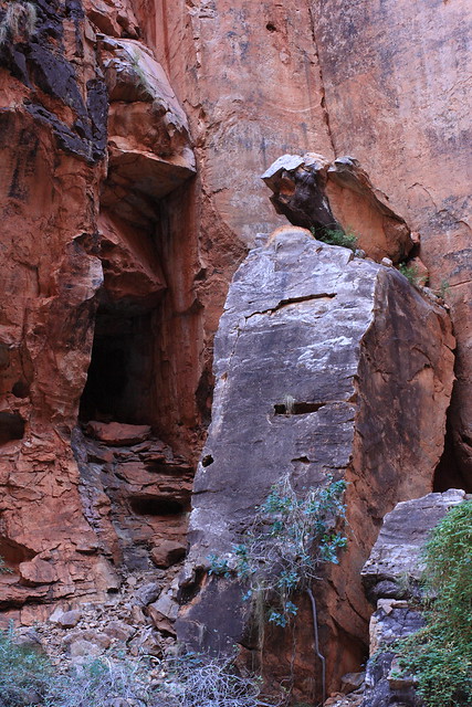 Cathedral Gorge walk