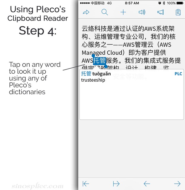 Using the Pleco Clipboard Reader