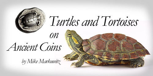 Turtles and Tortoises on Ancient Coins