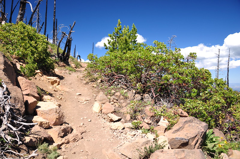 Black Butte Trail