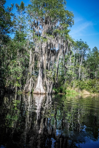 Lowcountry Unfiltered at Okefenokee-167