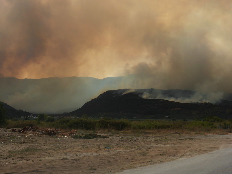 Тасос белый. Лесные пожары на острове Тассос. Фоторяд. Thasos отзыв