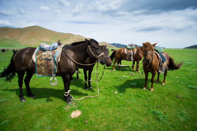 Mongolia 2016