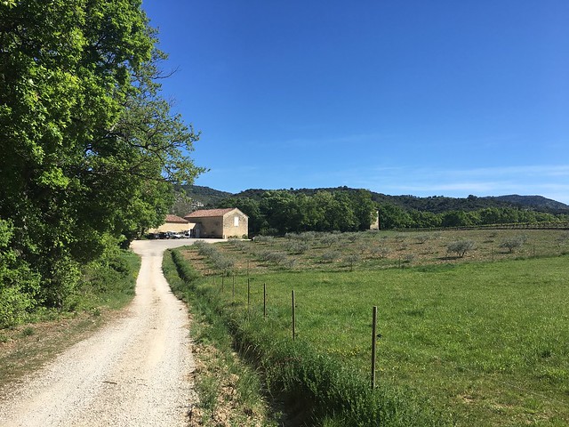 Road to tasting room at Château Unang winery in Malemort-du-Comtat