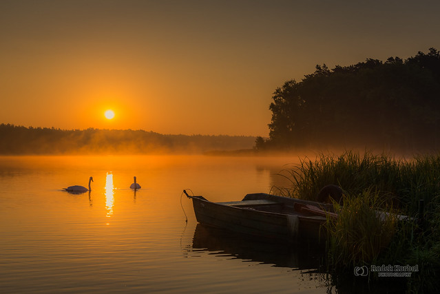 Foggy sunrise at the lake