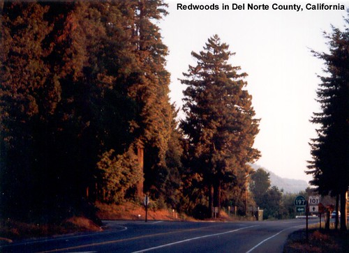 Del Norte County CA