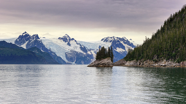 View above Harris Bay to Western Glacier