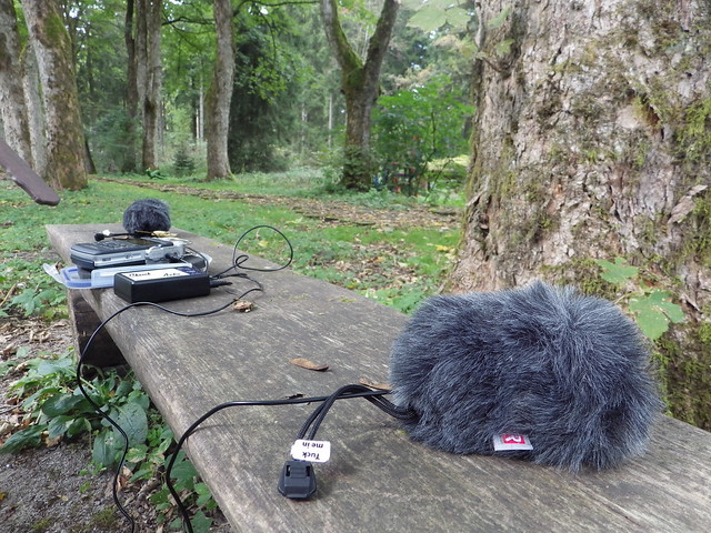 field-recording in the Harz Mountains