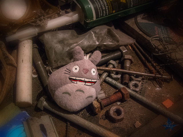 Day #243: totoro believes that the disorder is an ordered chaos