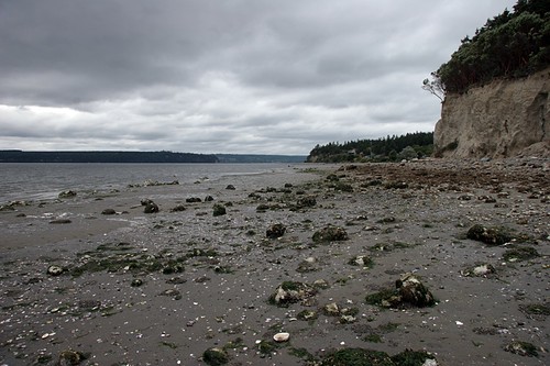 Foulweather Bluff