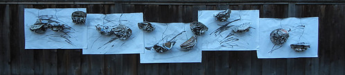 Wilted Lowers Installation _ DSCN4040 - modified - 800px
