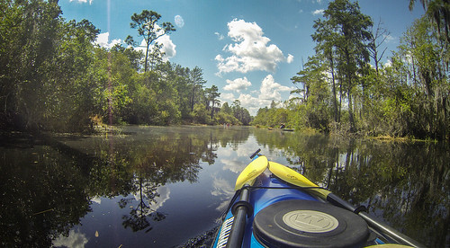 Lowcountry Unfiltered at Okefenokee-115