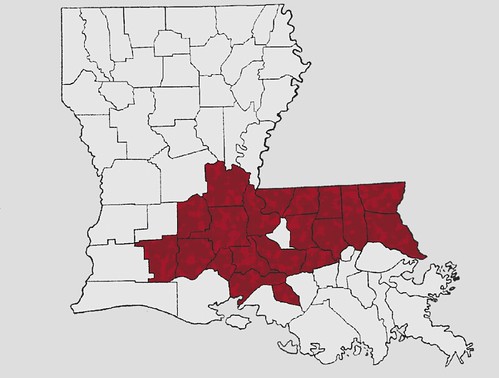 Louisiana affected areas