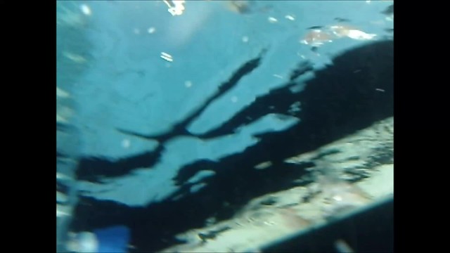 Vidéo bébés nageurs