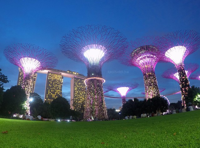 singapore first timer gardens by the bay