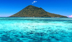  kalau sebelumnya saya mengangkat artikel ihwal  Info Wisata : Wisata Terbaik Di Taman Laut Bunaken