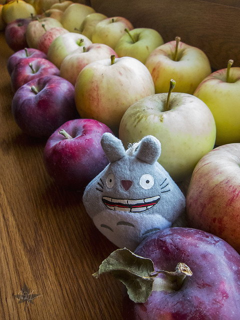 Day #247: totoro is in search of perfect forms