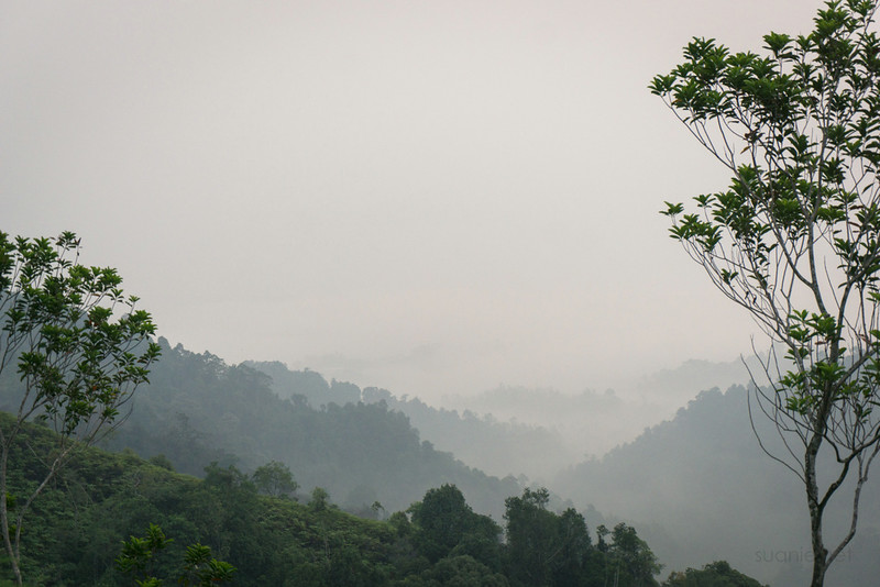 Panorama Hill, Sungai Lembing - haze