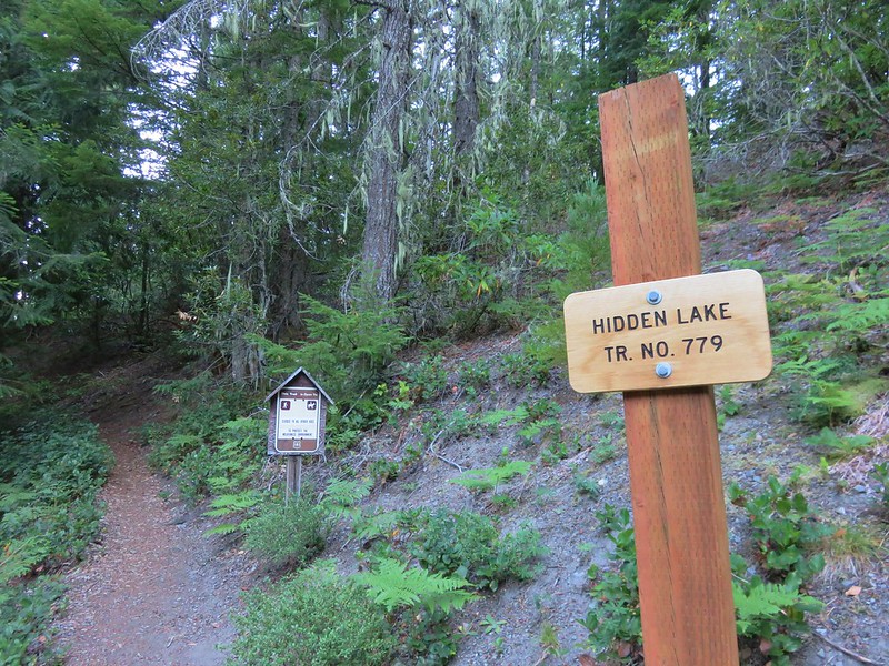 Hidden Lake Trail