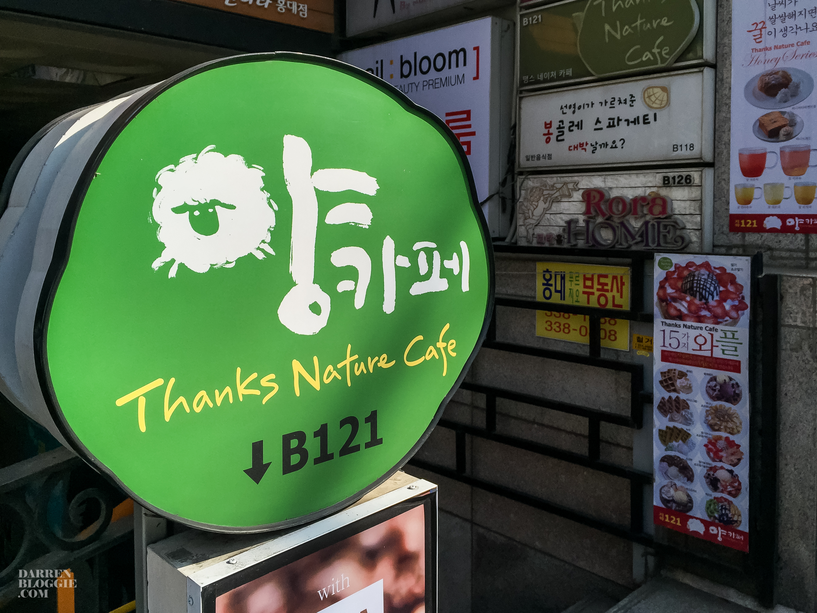 thanks-nature-cafe-sheep-hongdae-seoul-korea-1