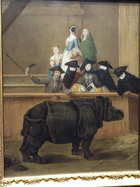 Exhibition of a Rhinoceros at Venice