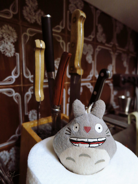 Day #212: totoro loves cleanliness and order