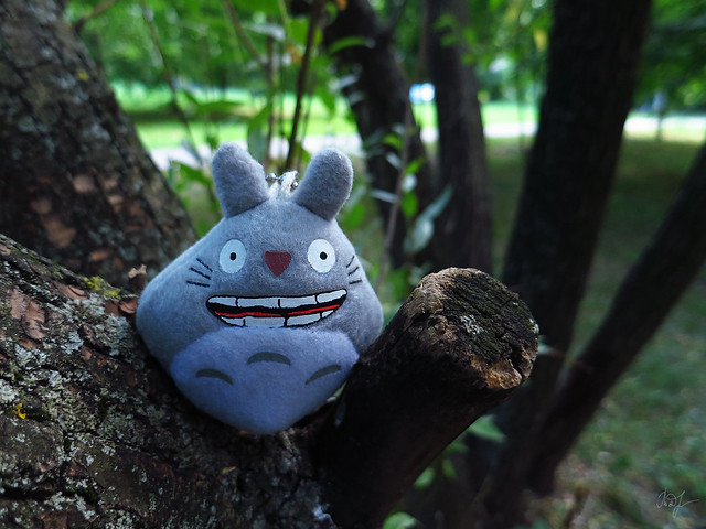 Day #181: totoro listens to the Silence