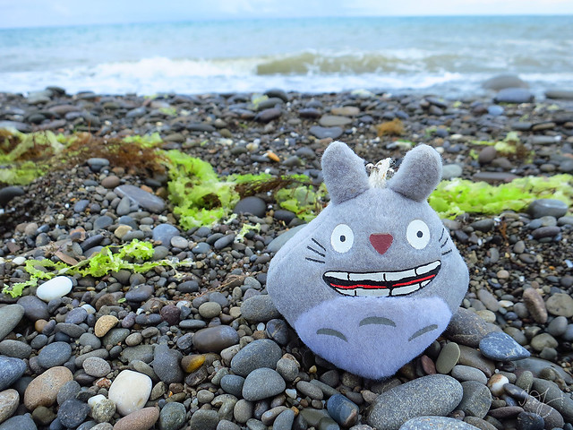 Day #192: totoro came to the sea