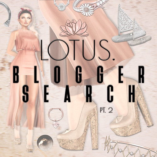 LOTUS is Looking for bloggers!